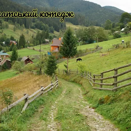 Holiday home карпатський Karpatian