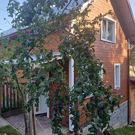 карпатський Karpatian Prázdninový dům Vorochta