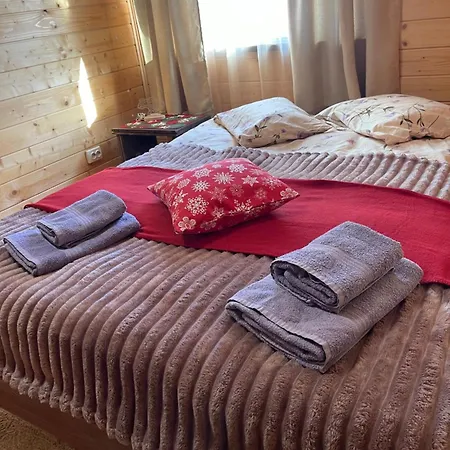 Holiday home карпатський Karpatian