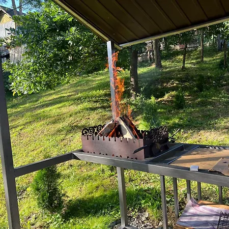 Дом отдыха карпатський Karpatian