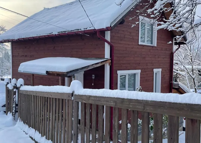 Casa de Férias карпатський Karpatian *