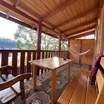 карпатський Karpatian *