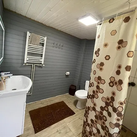 Сasa de vacaciones карпатський Karpatian